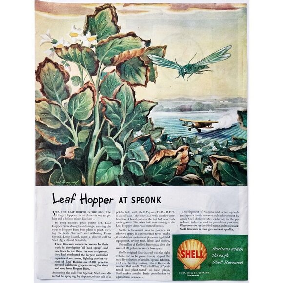1947 Shell Oil Advertisement Leaf Hopper Bug Killer D D T Speonk NYC DWJJ22 - Picture 2 of 2
